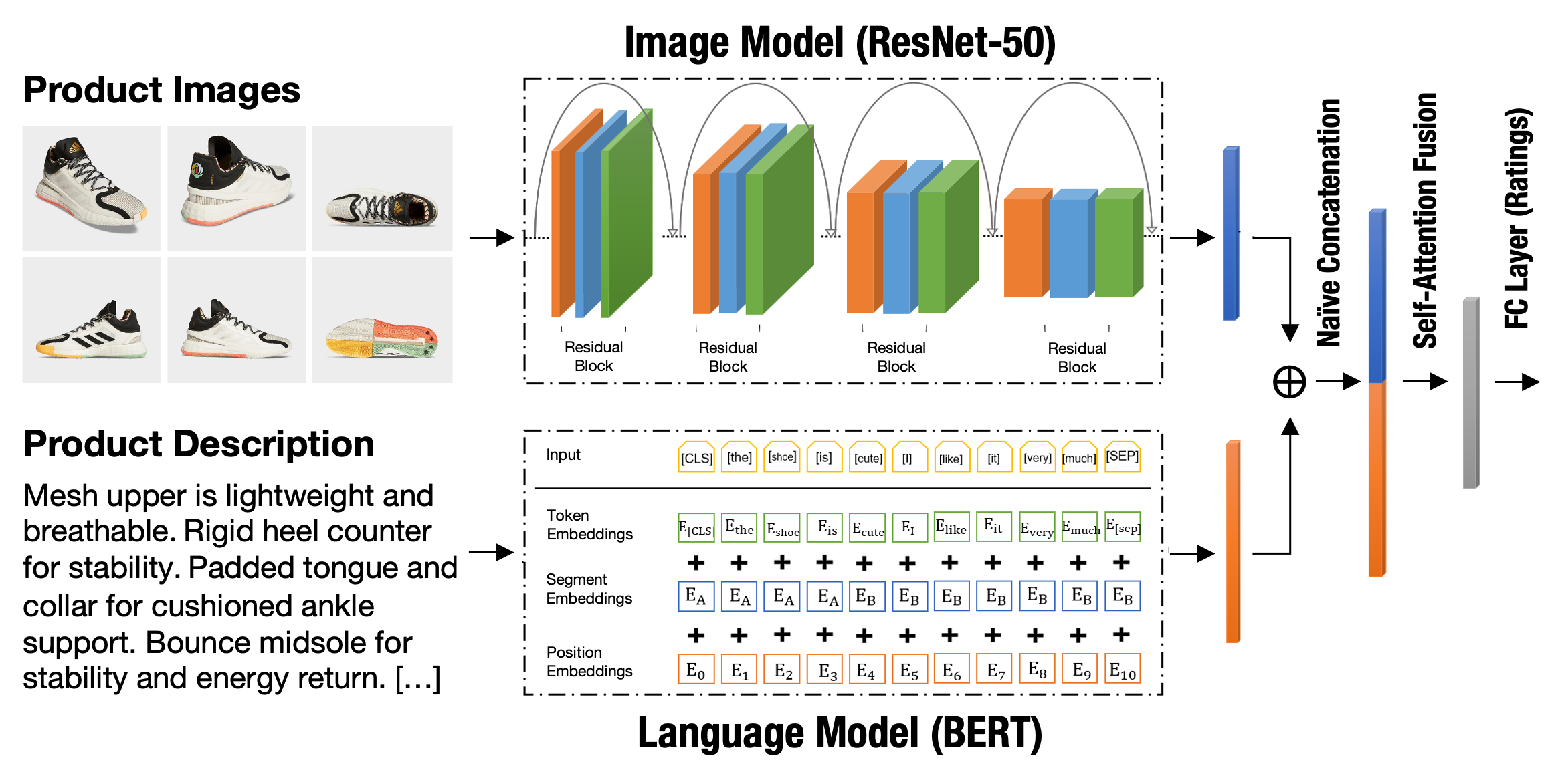 DMDE Model